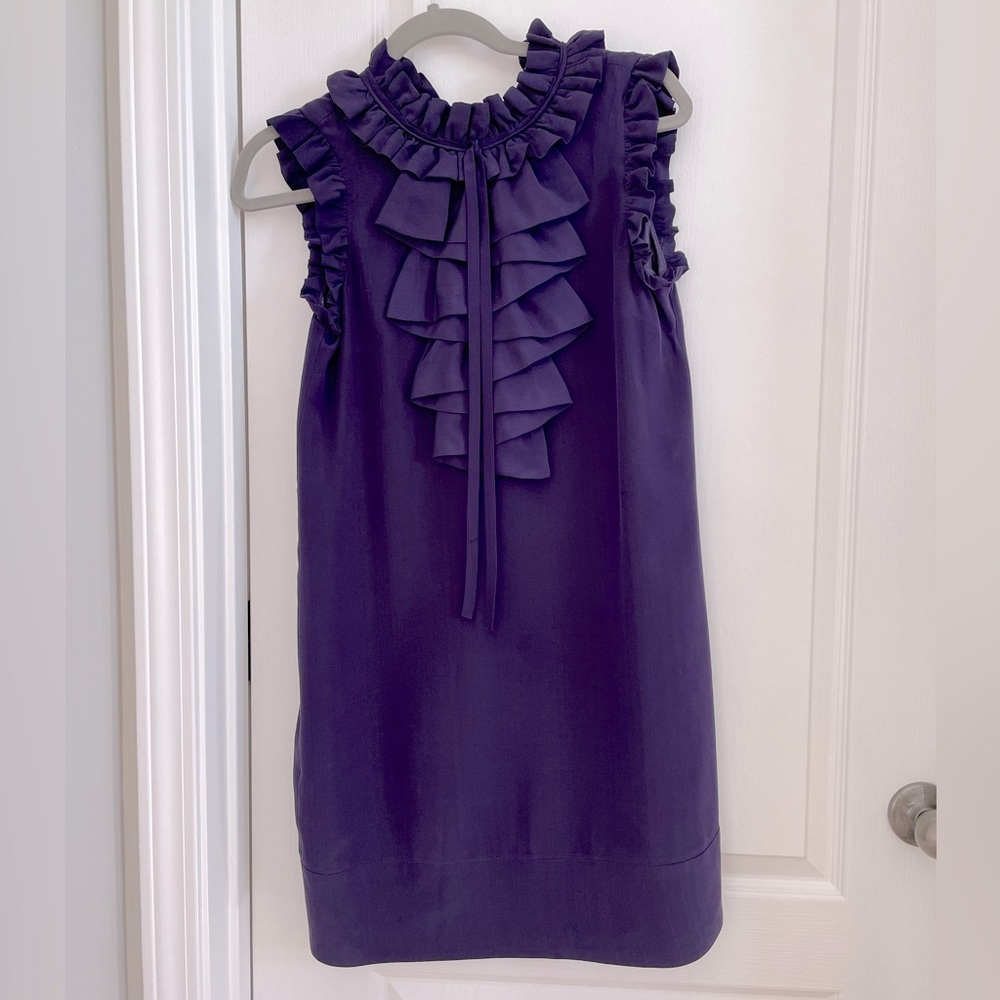 Stunning purple silk sleeveless dress. Size small. Ruffle detail neckline.